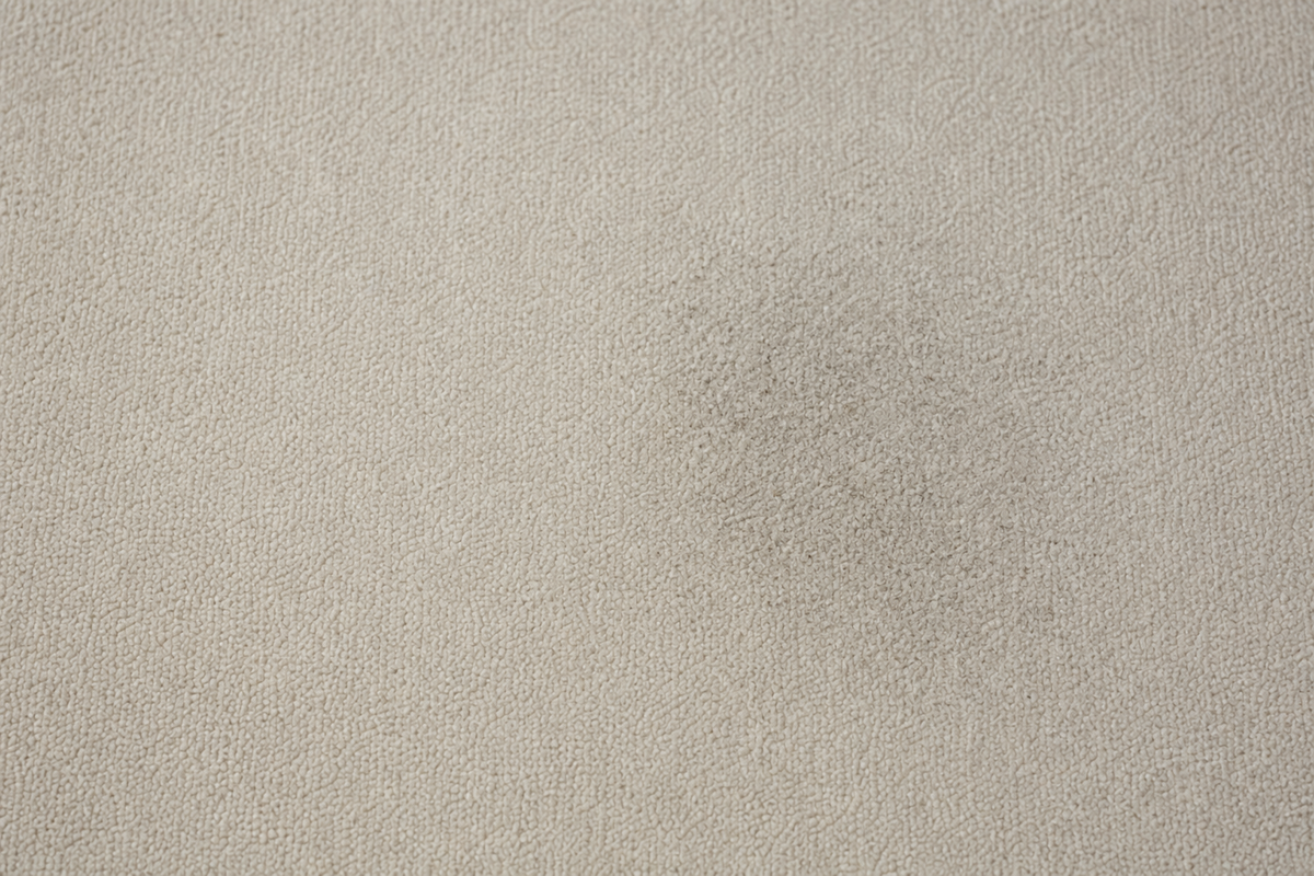 A subtle dusty residue patch on otherwise clean dry neutral carpet.